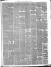 Peterborough Advertiser Saturday 14 February 1880 Page 3