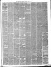 Peterborough Advertiser Saturday 20 March 1880 Page 3