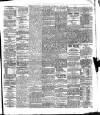 Belfast Telegraph Thursday 28 May 1874 Page 4