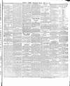 Belfast Telegraph Friday 13 April 1877 Page 3