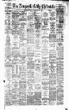 Newcastle Daily Chronicle Wednesday 12 February 1879 Page 1