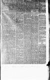 Newcastle Daily Chronicle Monday 23 November 1885 Page 5