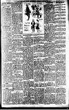 Newcastle Daily Chronicle Tuesday 17 January 1905 Page 11