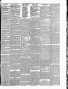 Essex Herald Tuesday 05 June 1866 Page 7