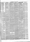 Essex Herald Tuesday 06 April 1869 Page 7