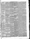 Essex Herald Tuesday 20 April 1869 Page 3