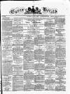 Essex Herald Tuesday 04 May 1869 Page 1