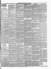 Essex Herald Tuesday 24 August 1869 Page 7