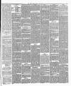 Essex Herald Tuesday 23 January 1872 Page 5