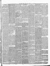 Essex Herald Tuesday 04 August 1874 Page 3