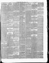 Essex Herald Tuesday 19 December 1876 Page 3