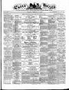 Essex Herald Tuesday 10 February 1880 Page 1