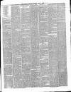 Essex Herald Tuesday 02 November 1880 Page 7