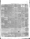 Essex Herald Saturday 06 February 1886 Page 3