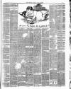 Essex Herald Monday 27 January 1890 Page 3