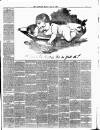 Essex Herald Monday 06 June 1892 Page 3