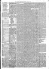 Barnsley Chronicle Saturday 15 April 1876 Page 3