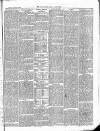 East & South Devon Advertiser. Saturday 17 January 1874 Page 4