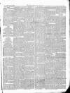 East & South Devon Advertiser. Saturday 18 April 1874 Page 3