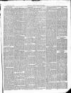 East & South Devon Advertiser. Saturday 16 May 1874 Page 3