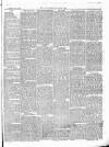 East & South Devon Advertiser. Saturday 20 June 1874 Page 3
