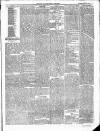 East & South Devon Advertiser. Saturday 27 June 1874 Page 5