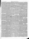 East & South Devon Advertiser. Saturday 19 September 1874 Page 3