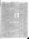 East & South Devon Advertiser. Saturday 31 October 1874 Page 3