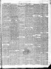East & South Devon Advertiser. Saturday 19 December 1874 Page 3