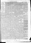 East & South Devon Advertiser. Saturday 13 February 1875 Page 5