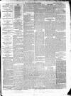 East & South Devon Advertiser. Saturday 27 February 1875 Page 5