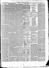 East & South Devon Advertiser. Saturday 10 April 1875 Page 3