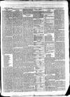 East & South Devon Advertiser. Saturday 17 April 1875 Page 3