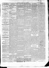 East & South Devon Advertiser. Saturday 24 April 1875 Page 5