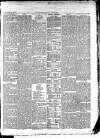 East & South Devon Advertiser. Saturday 15 May 1875 Page 3
