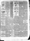 East & South Devon Advertiser. Saturday 31 July 1875 Page 5