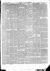 East & South Devon Advertiser. Saturday 20 November 1875 Page 3