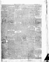 East & South Devon Advertiser. Saturday 08 April 1876 Page 3