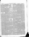 East & South Devon Advertiser. Saturday 01 July 1876 Page 3