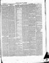 East & South Devon Advertiser. Saturday 08 July 1876 Page 3
