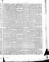 East & South Devon Advertiser. Saturday 15 July 1876 Page 3