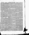 East & South Devon Advertiser. Saturday 29 July 1876 Page 3