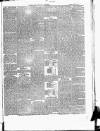 East & South Devon Advertiser. Saturday 29 July 1876 Page 5