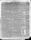 East & South Devon Advertiser. Saturday 17 August 1878 Page 3