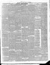 East & South Devon Advertiser. Saturday 02 November 1878 Page 3