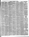 East & South Devon Advertiser. Saturday 26 January 1884 Page 3