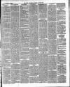 East & South Devon Advertiser. Saturday 02 February 1884 Page 3