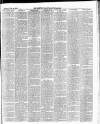 East & South Devon Advertiser. Saturday 28 June 1884 Page 5