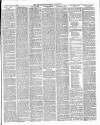 East & South Devon Advertiser. Saturday 02 August 1884 Page 3