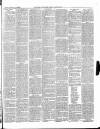 East & South Devon Advertiser. Saturday 17 January 1885 Page 3